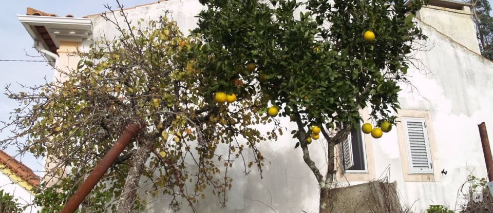 Casa de Campo T3 em Mação, Penhascoso e Aboboreira de 72 m²