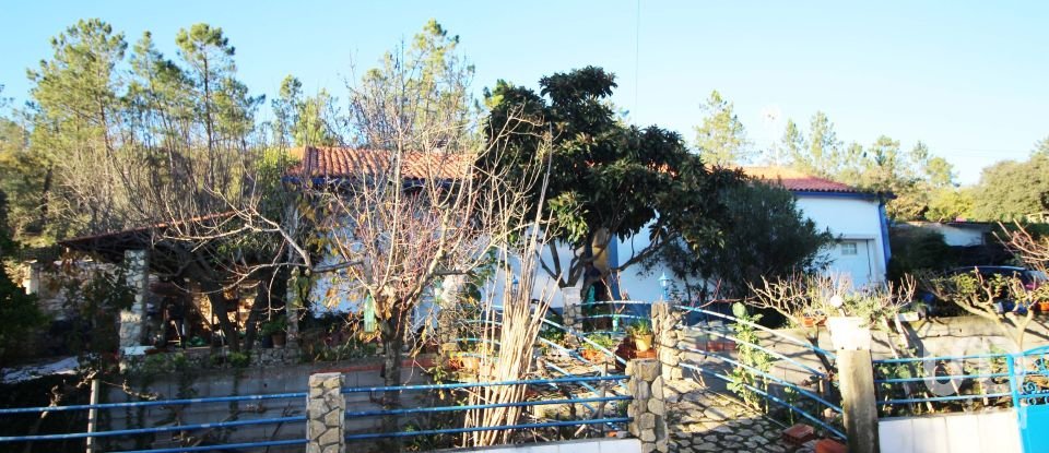 Farm T5 in Chãos of 271 m²