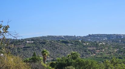 Terrain à Boliqueime de 4 950 m²