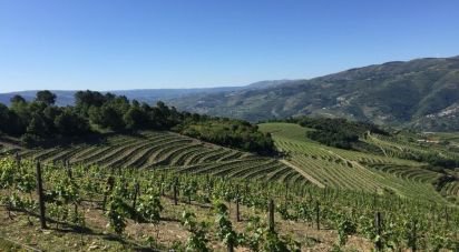 Ferme T0 à Mesão Frio (Santo André) de 300 m²