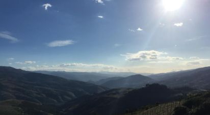 Ferme T0 à Mesão Frio (Santo André) de 300 m²