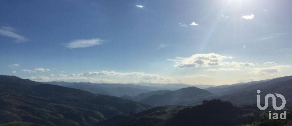 Farm T0 in Mesão Frio (Santo André) of 300 m²