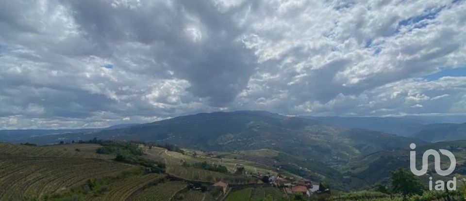 Farm T0 in Mesão Frio (Santo André) of 300 m²