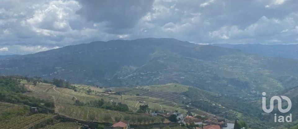 Farm T0 in Mesão Frio (Santo André) of 300 m²