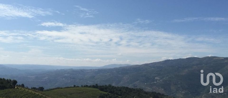 Farm T0 in Mesão Frio (Santo André) of 300 m²