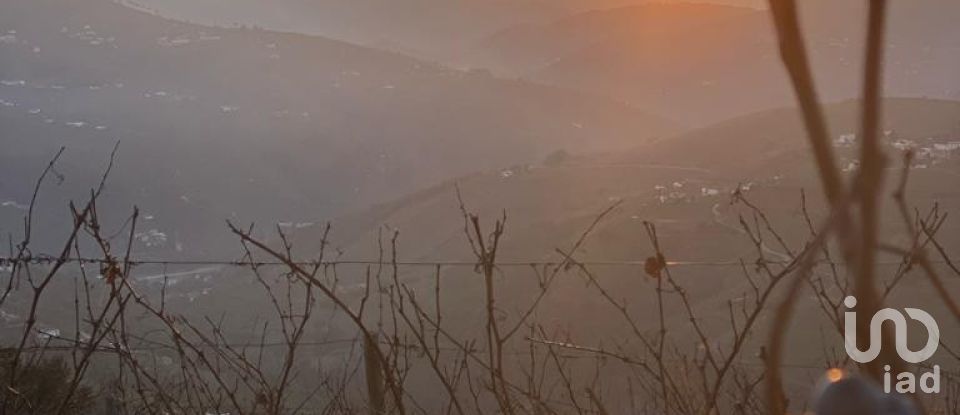 Farm T0 in Mesão Frio (Santo André) of 300 m²