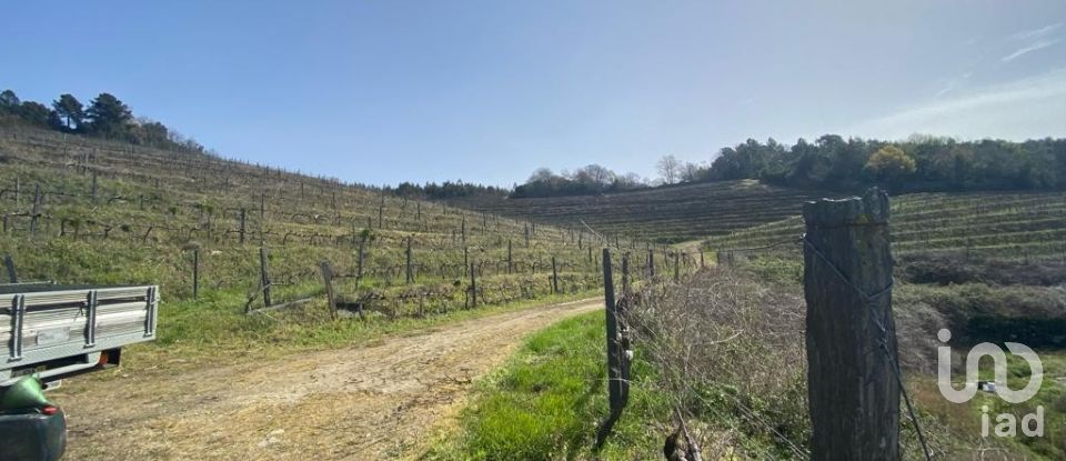 Farm T0 in Mesão Frio (Santo André) of 300 m²