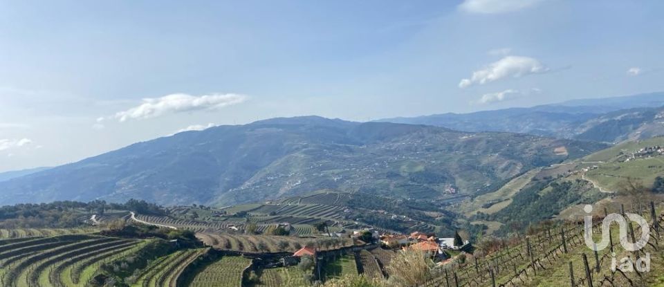 Farm T0 in Mesão Frio (Santo André) of 300 m²