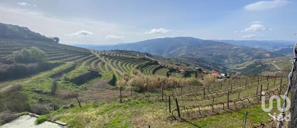 Farm T0 in Mesão Frio (Santo André) of 300 m²