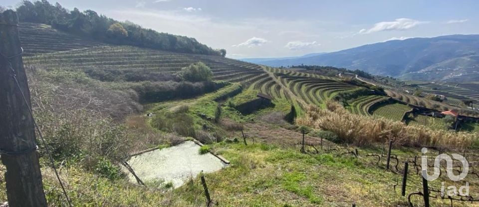 Farm T0 in Mesão Frio (Santo André) of 300 m²