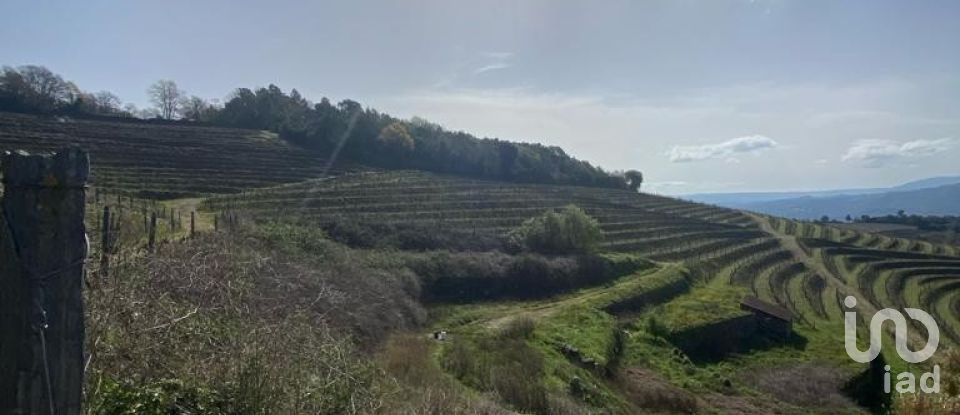 Farm T0 in Mesão Frio (Santo André) of 300 m²