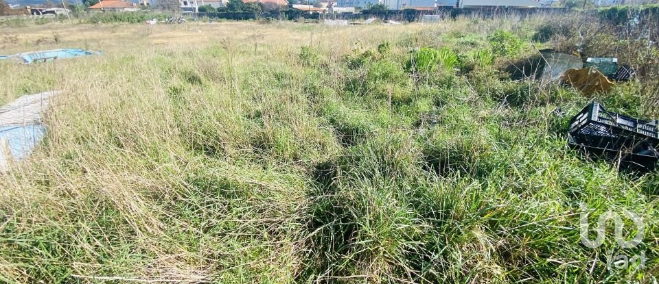 Terreno urbano em Darque de 5 940 m²