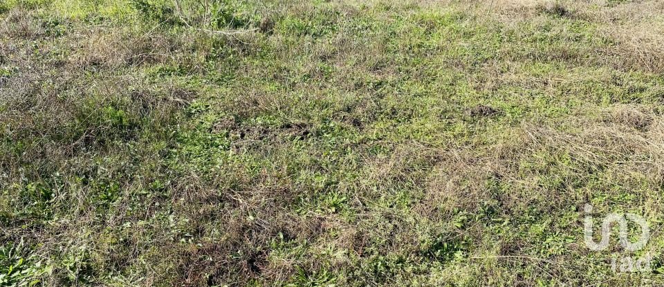 Terreno urbano em Darque de 5 940 m²