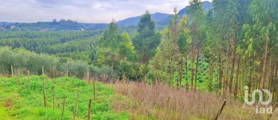 Land in Lamas e Cercal of 14,830 m²