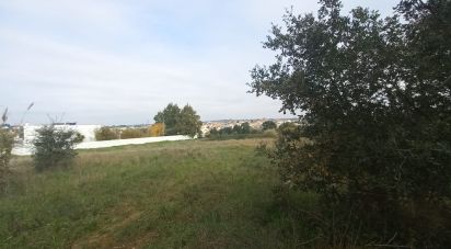 Land in Pontével of 35,090 m²