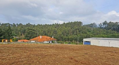 Land in Anha of 1,445 m²