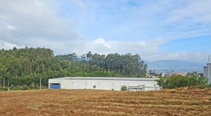 Terrain à Anha de 1 445 m²