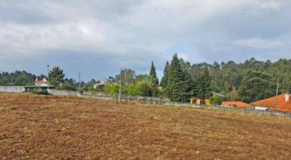 Terrain à Anha de 1 445 m²