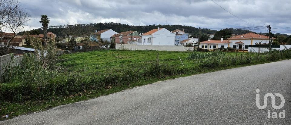 Terreno em Tornada e Salir do Porto de 2 594 m²