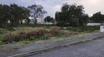 Terrain à Ponte de Sor, Tramaga e Vale de Açor de 3 346 m²