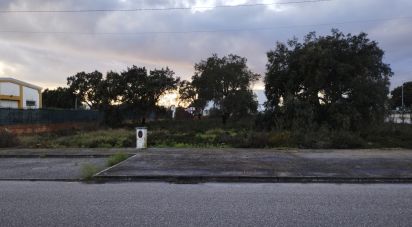 Terrain à Ponte de Sor, Tramaga e Vale de Açor de 3 346 m²