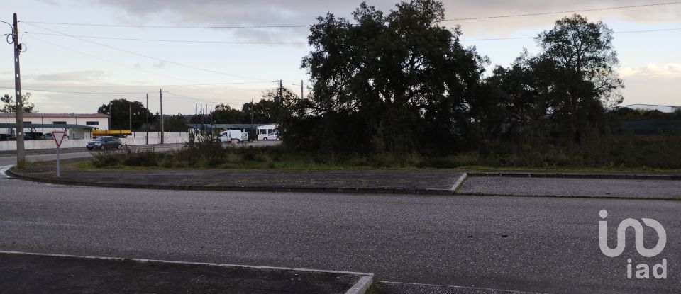 Terreno em Ponte de Sor, Tramaga e Vale de Açor de 3 346 m²