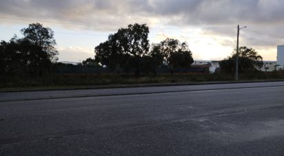 Terrain à Ponte de Sor, Tramaga e Vale de Açor de 3 346 m²