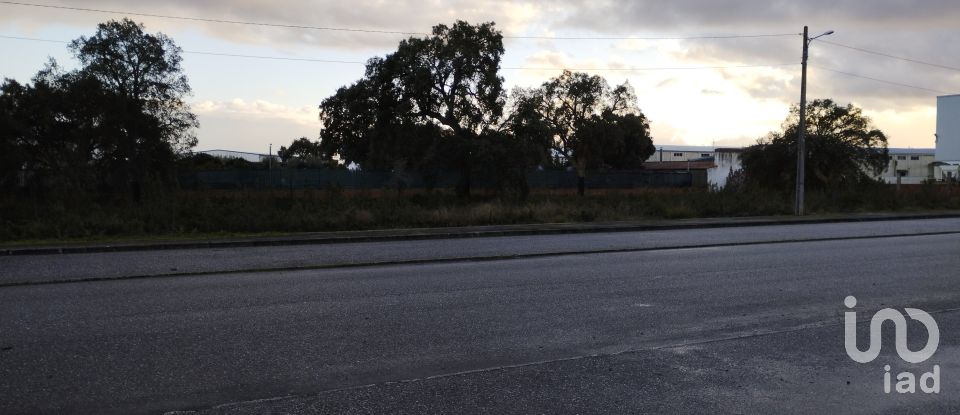 Terreno em Ponte de Sor, Tramaga e Vale de Açor de 3 346 m²