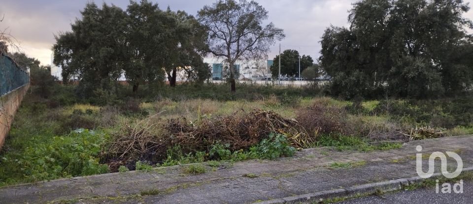 Terreno em Ponte de Sor, Tramaga e Vale de Açor de 3 346 m²