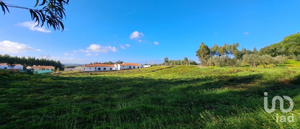 Land in Rio Maior of 1,309 m²