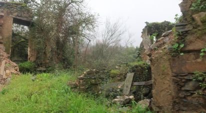 Maison de village T0 à Lousã e Vilarinho de 160 m²