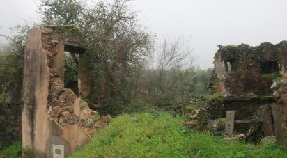 Maison de village T0 à Lousã e Vilarinho de 160 m²