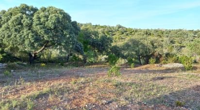 Terrain à Santa Bárbara de Nexe de 1 880 m²