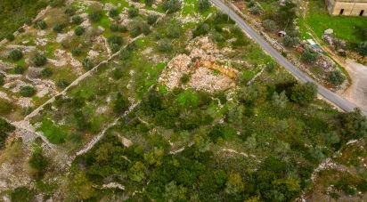 Terrain à bâtir à Reguengo do Fetal de 1 331 m²