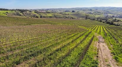Terrain agricole à Carvoeira e Carmões de 81 070 m²