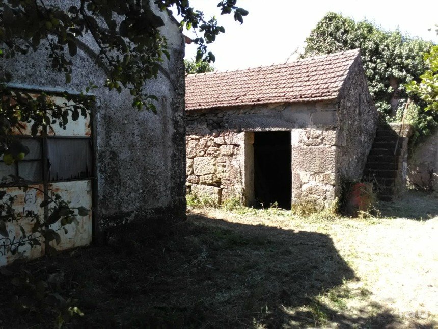 Farm T5 in Senhorim of 10,000 m²
