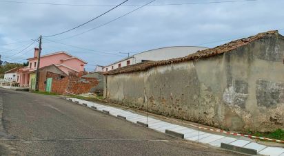 Terrain à Tornada e Salir do Porto de 8 800 m²
