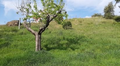 Terrain à bâtir à Leiria, Pousos, Barreira e Cortes de 1 098 m²