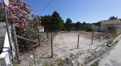 Terrain à Marinha Grande de 1 770 m²