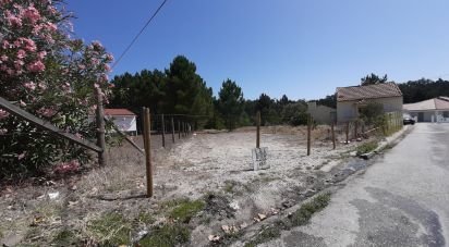Terrain à Marinha Grande de 1 770 m²
