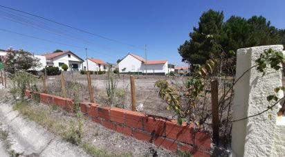 Terrain à Marinha Grande de 1 770 m²