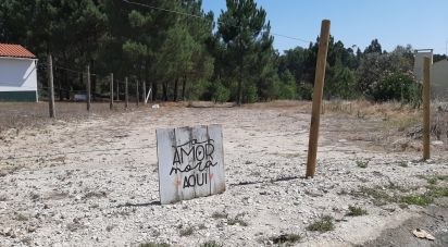Terrain à Marinha Grande de 1 770 m²
