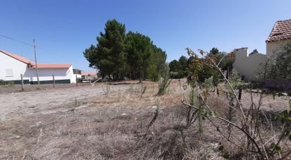 Terrain à Marinha Grande de 1 770 m²