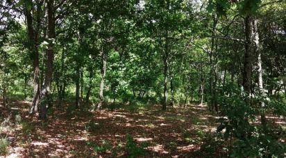 Terrain à Parada de Gonta de 100 000 m²