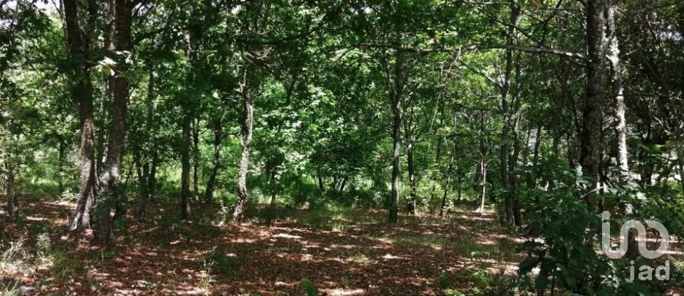 Terreno em Parada de Gonta de 100 000 m²