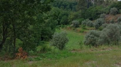 Terrain à Parada de Gonta de 100 000 m²