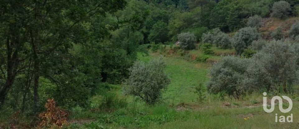 Terreno em Parada de Gonta de 100 000 m²