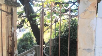 House T6 in Olhão of 1,200 m²