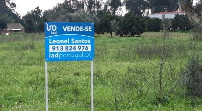 Land in Souto da Carpalhosa e Ortigosa of 1,015 m²