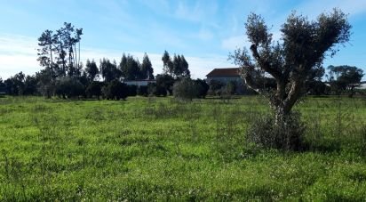 Terrain à Souto da Carpalhosa e Ortigosa de 1 015 m²